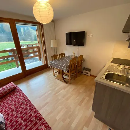 Chaleureux Avec Parking Proche Des Pistes - Fr-1-692-46 * Abondance