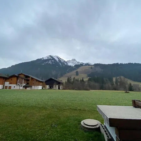 Cosy A La Montagne, Proche Des Pistes Et Expo Sud - Fr-1-692-46 La Chapelle-d'Abondance